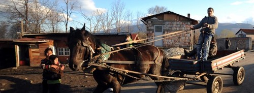 tumblr_mn1m0pI8a01qiwnlho1_500