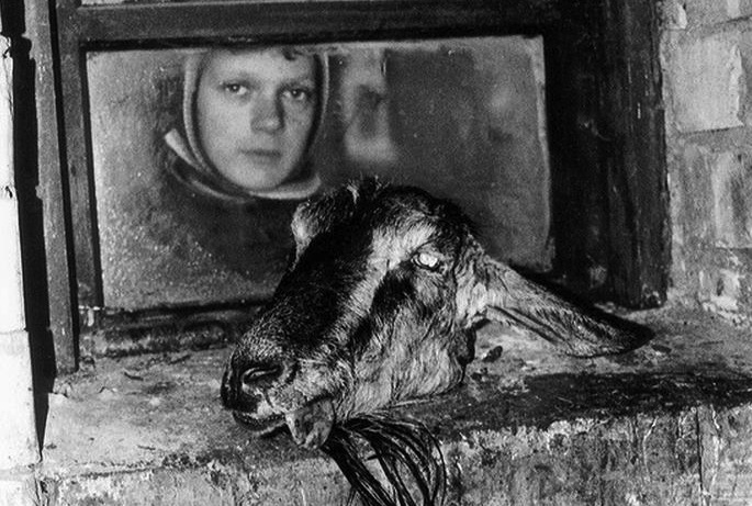 0_d1cb6_9f180b70_XXXL