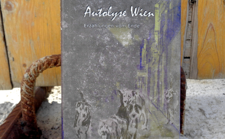 autolyse_wien_baust_web